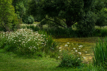 Fotografie mit dem Titel "Carantec, le jardin…" von Thierry Martin, Original-Kunstwerk, Digitale Fotografie