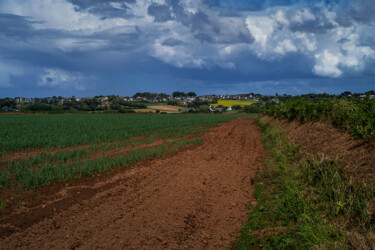 Photographie intitulée "Carantec, terre agr…" par Thierry Martin, Œuvre d'art originale, Photographie numérique