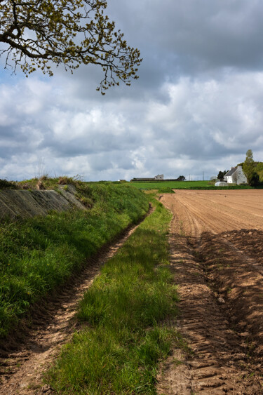 Fotografie getiteld "Carantec terre agri…" door Thierry Martin, Origineel Kunstwerk, Digitale fotografie