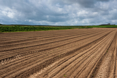 Photographie intitulée "Carantec terre agri…" par Thierry Martin, Œuvre d'art originale, Photographie numérique