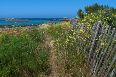 Photographie intitulée "Santec, chemin des…" par Thierry Martin, Œuvre d'art originale, Photographie numérique