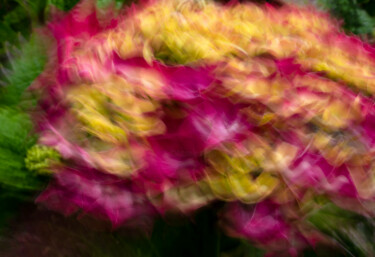 Photography titled "Hortensia 61." by Thierry Martin, Original Artwork, Digital Photography