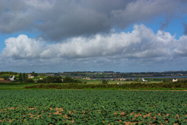 Photographie intitulée "Carantec terre agri…" par Thierry Martin, Œuvre d'art originale, Photographie numérique