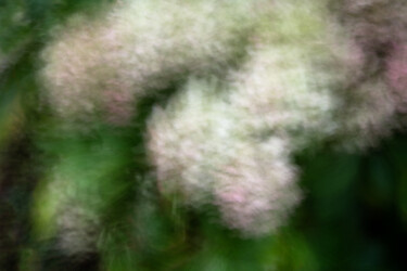 Photography titled "Hortensia 93 à la p…" by Thierry Martin, Original Artwork, Digital Photography