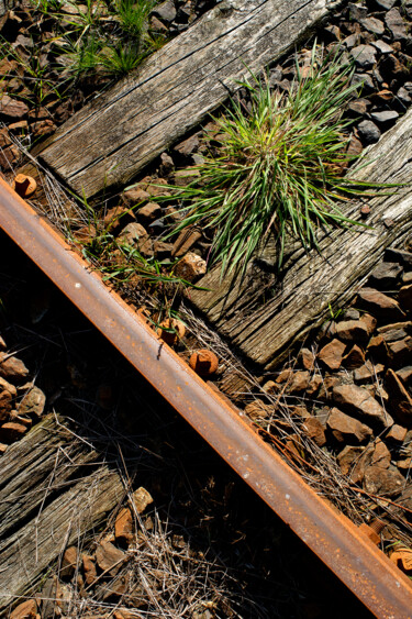 "Ligne de chemin de…" başlıklı Fotoğraf Thierry Martin tarafından, Orijinal sanat, Dijital Fotoğrafçılık