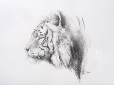 Dessin intitulée "Tigre Mahawak" par Thierry Mordant, Œuvre d'art originale, Crayon