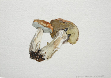 Painting titled "Champignons - Cèpes" by Thierry Priser, Original Artwork, Watercolor