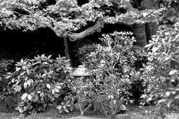 Photographie intitulée "Nature & Jardin ZEN…" par Thierry Schoenenwald, Œuvre d'art originale