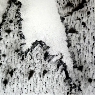 Ζωγραφική με τίτλο "Mont Hotaka" από Thierry Esther, Αυθεντικά έργα τέχνης, Ακρυλικό Τοποθετήθηκε στο Ξύλινο φορείο σκελετό