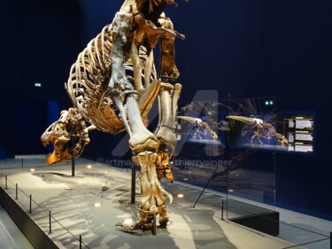 Visite du T. Rex à PARIS- Jardin des plantes- Copy Photographie intitulée "Visite du T. Rex à…" par Thierry Singer De Polignac - Spencer (Prince Singer de Polignac-Spencer), Œ…