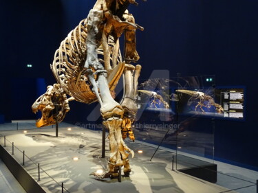 Fotografia intitolato "Visite du T. Rex à…" da Thierry Singer De Polignac - Spencer (Prince Singer de Polignac-Spencer), Ope…