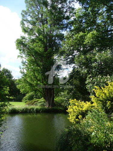 Photographie intitulée "Visite de l'Arborét…" par Thierry Singer De Polignac - Spencer (Prince Singer de Polignac-Spencer),…