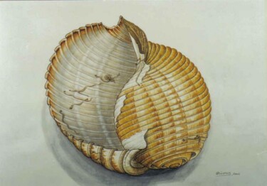 Painting titled "Agean SEA shell" by Thomai Kontou, Original Artwork, Other