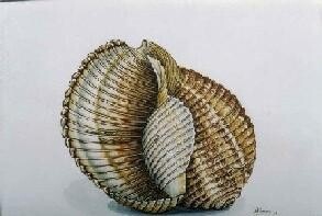 Painting titled "Agean SEA shell" by Thomai Kontou, Original Artwork, Other