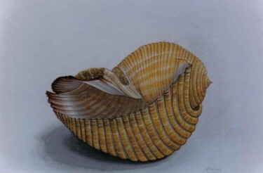 Painting titled "sea shell" by Thomai Kontou, Original Artwork, Oil