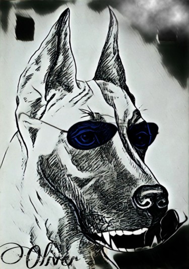 Dessin intitulée "Dog" par Oliver Pilato, Œuvre d'art originale, Crayon