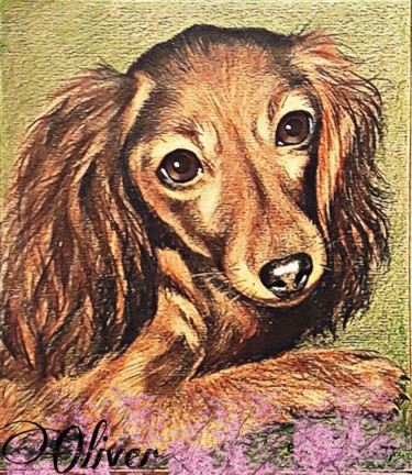Dessin intitulée "Dog" par Oliver Pilato, Œuvre d'art originale
