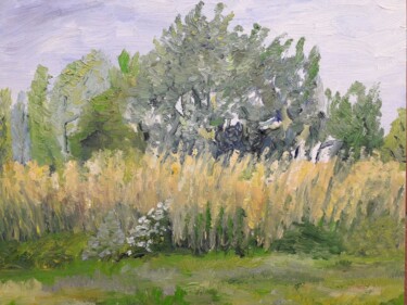 Peinture intitulée "prairie et roseaux…" par Thomas Balivet, Œuvre d'art originale, Huile