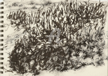 Peinture intitulée "dans les dunes" par Thomas Eeckman, Œuvre d'art originale, Encre