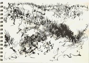 Peinture intitulée "dans les dunes" par Thomas Eeckman, Œuvre d'art originale, Encre