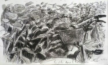 Drawing titled "Vélo aux hortensias" by Thomas Rodet, Original Artwork, Ink