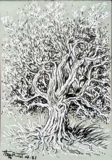 Dessin intitulée "Chêne blanc" par Thomas Rodet, Œuvre d'art originale, Acrylique