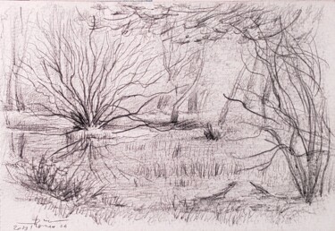 Dessin intitulée "Bois à Fontainebleau" par Thomas Rodet, Œuvre d'art originale, Graphite
