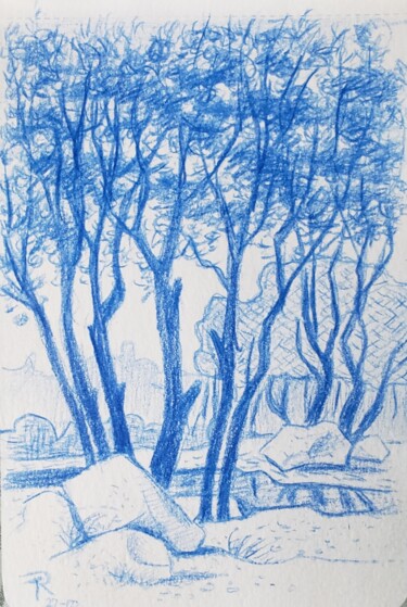 Dessin intitulée "Ruisseau au bois" par Thomas Rodet, Œuvre d'art originale, Crayon