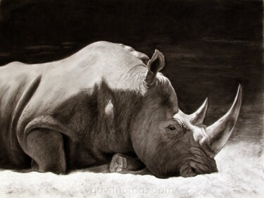 Dessin intitulée "Little Rhino" par Thomas Rodet, Œuvre d'art originale, Fusain