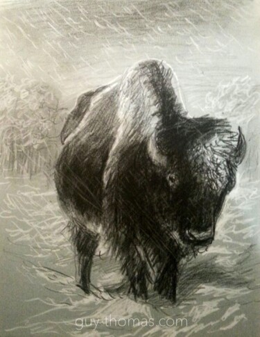 Tekening getiteld "Bison debout" door Thomas Rodet, Origineel Kunstwerk, Pastel