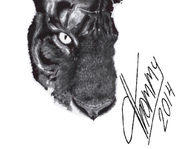 Dibujo titulada "Tigre gris" por Thommy, Obra de arte original, Grafito