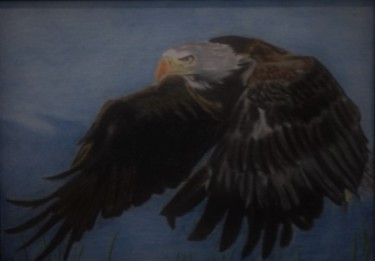 Painting titled "Aguila" by Thommy, Original Artwork, Pastel