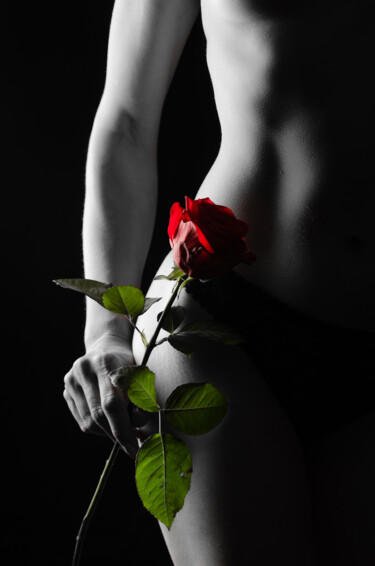 Fotografía titulada "Rote Rose" por Thorsten Fisseler, Obra de arte original, Fotografía digital