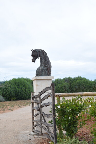 Rzeźba zatytułowany „Horseskulptur 5” autorstwa Tiba, Oryginalna praca, Beton