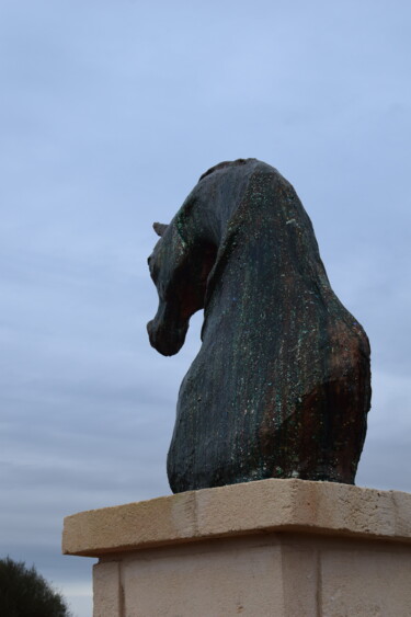 Skulptur mit dem Titel "Skulptur caballo 5" von Tiba, Original-Kunstwerk, Beton