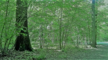 Photographie intitulée "la balade au bois" par Tifany Dupont, Œuvre d'art originale