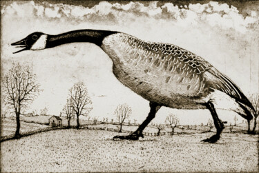印花与版画 标题为“Hissing Goose” 由Tim Southall, 原创艺术品, 蚀刻