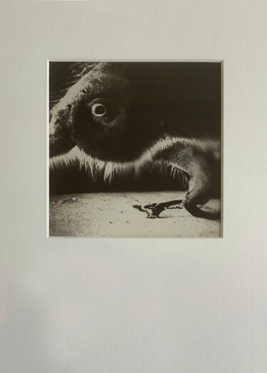 Collagen mit dem Titel "Love Exposure #1 -…" von Timo Milke, Original-Kunstwerk, Manipulierte Fotografie