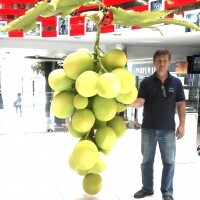 Timofei Gorea Profielfoto Groot