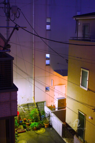 Photography titled "Hatagaya" by Tina Lane, Original Artwork