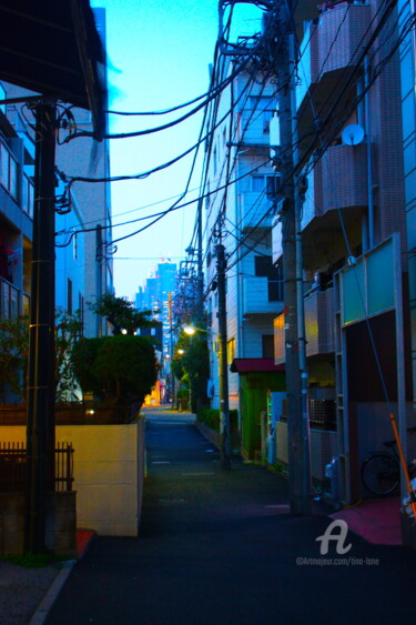 Fotografia intitolato "Shinjuku" da Tina Lane, Opera d'arte originale