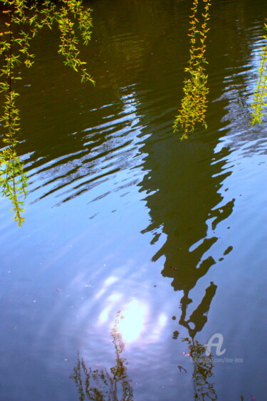 Photography titled "Reflection of a Shi…" by Tina Lane, Original Artwork, Digital Photography