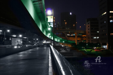 Digital Arts titled "Green Bridge" by Tina Lane, Original Artwork, 2D Digital Work