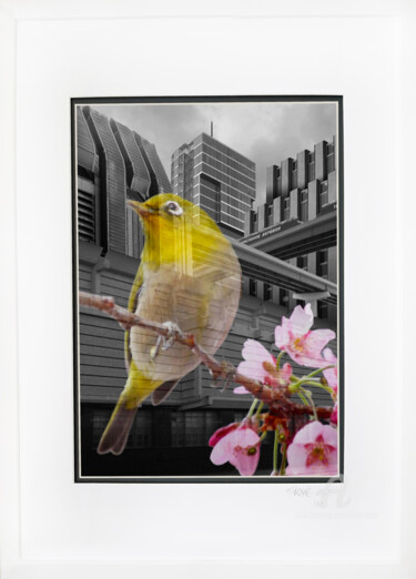 Photography titled "The Best Things in…" by Tina Lane, Original Artwork, Manipulated Photography Mounted on Cardboard