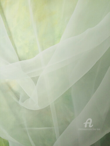 纺织艺术 标题为“Draping Net Curtain” 由Tina Lane, 原创艺术品, 布