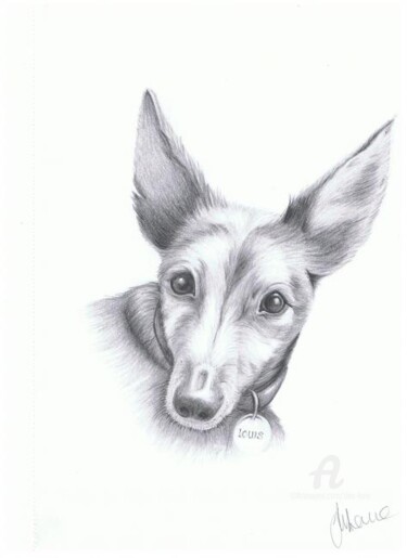 Drawing titled "Louis" by Tina Lane, Original Artwork, Other