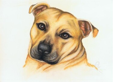 Drawing titled "Buster" by Tina Lane, Original Artwork, Other