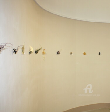 Installatie getiteld "The Museum of Categ…" door Tina Lane, Origineel Kunstwerk