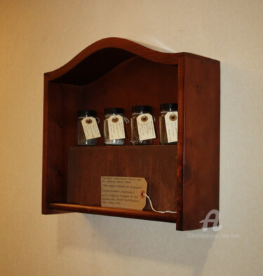 Installation titled "Dust. On Loan from…" by Tina Lane, Original Artwork