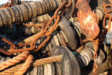 "Rust" başlıklı Fotoğraf Tina Lane tarafından, Orijinal sanat